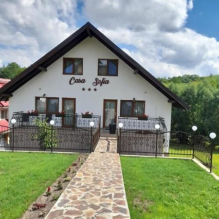 Apartmán Casa Sofia Baltatesti Exteriér fotografie