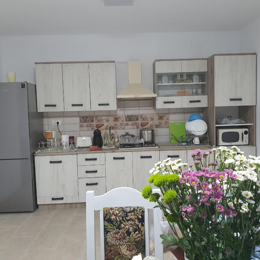 Apartmán Casa Sofia Baltatesti Exteriér fotografie
