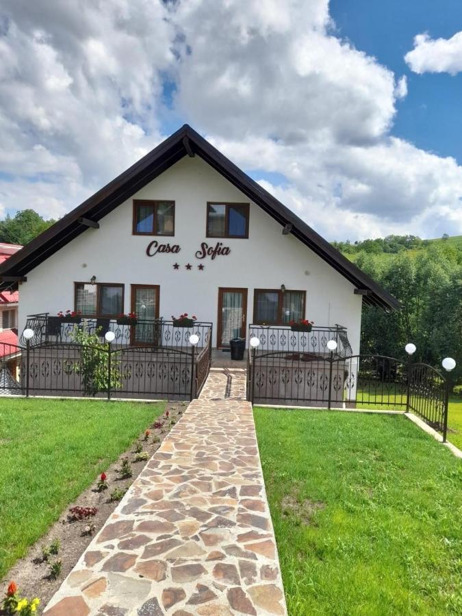 Apartmán Casa Sofia Baltatesti Exteriér fotografie